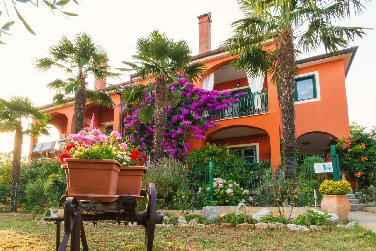 Apartments Mirjana Novigrad Istria المظهر الخارجي الصورة